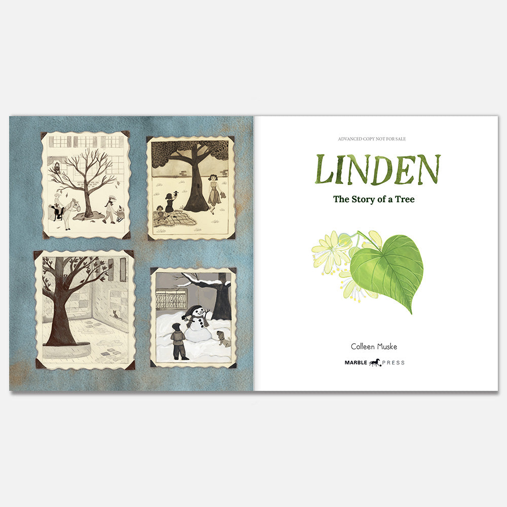 LINDEN: The Story of A Tree