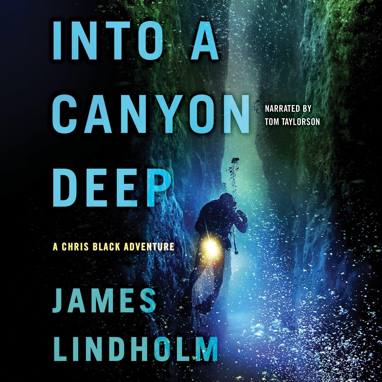 Into A Canyon Deep
