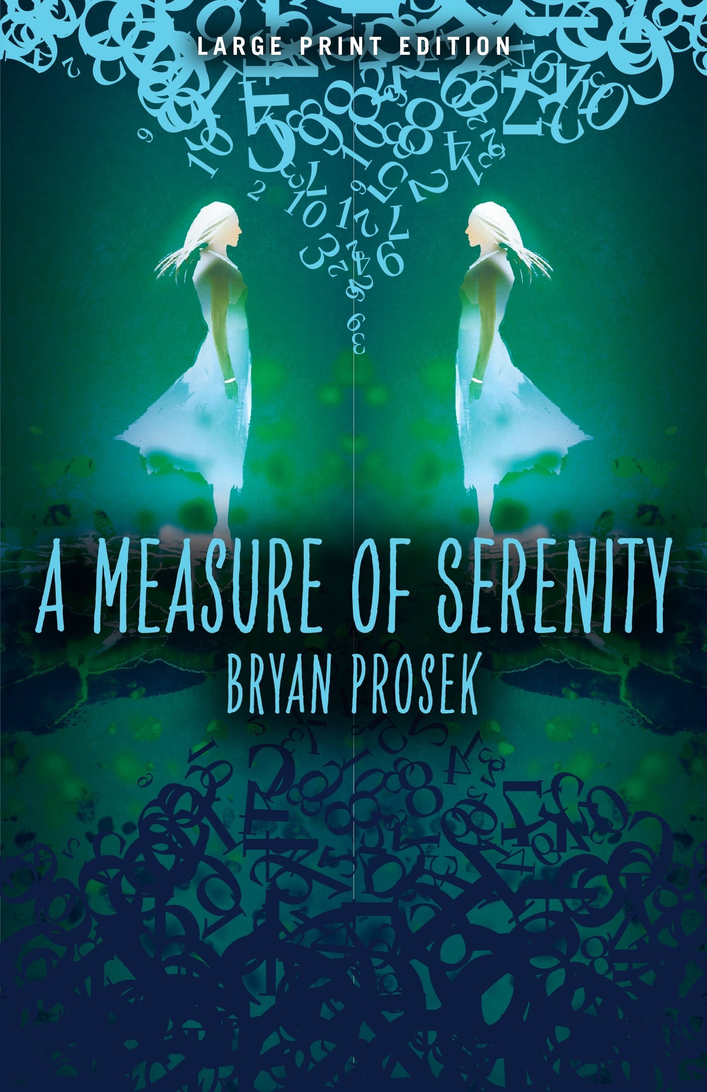 A Measure of Serenity (Large Print Edition)