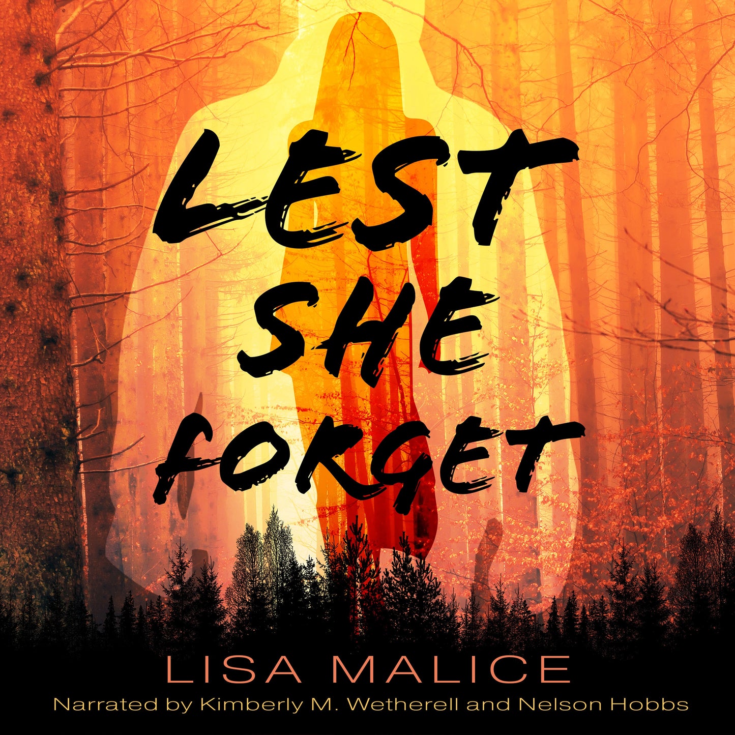 Book 000000 Lisa Malice, Kimberly M. Wetherell, Nelson Hobbs