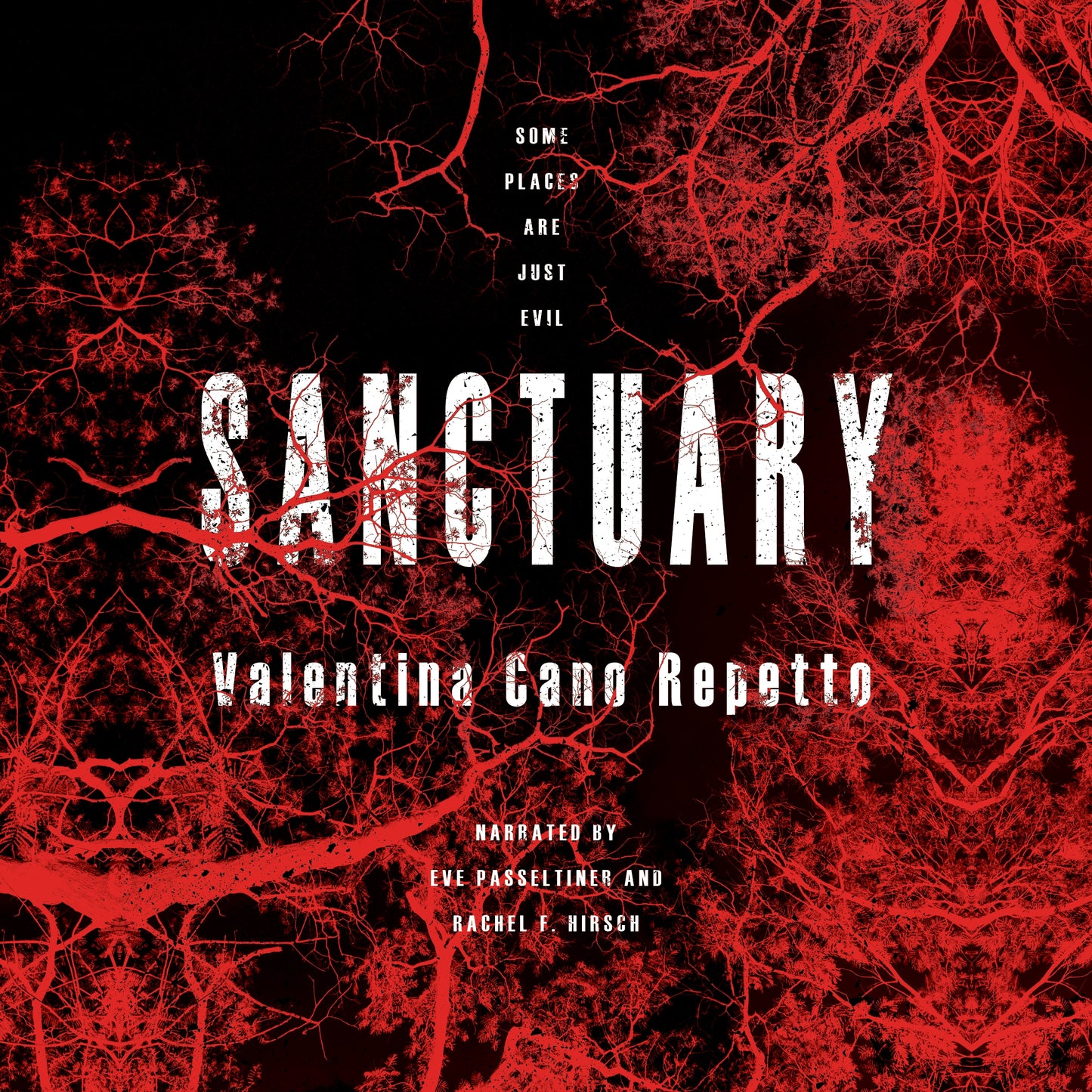 Book 000000 Valentina Cano Repetto, Eve Passeltiner, Rachel F. Hirsch