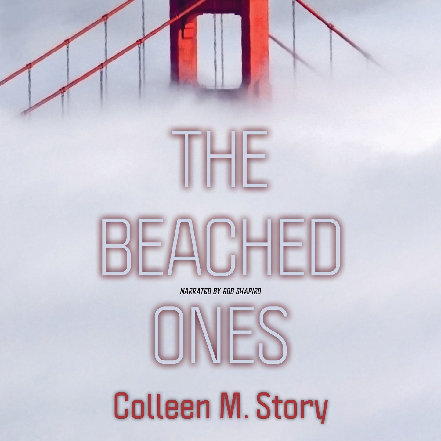 Book 000000 Colleen M. Story, Rob Shapiro