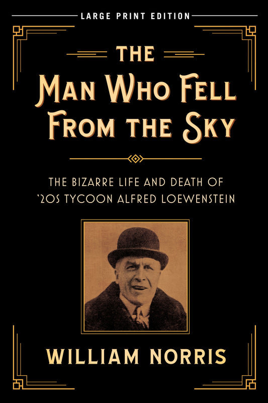 The Man Who Fell From the Sky (Large Print Edition)