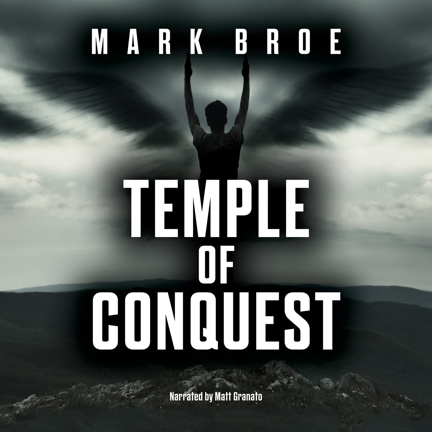 Book 000000 Mark Broe, Matt Granato