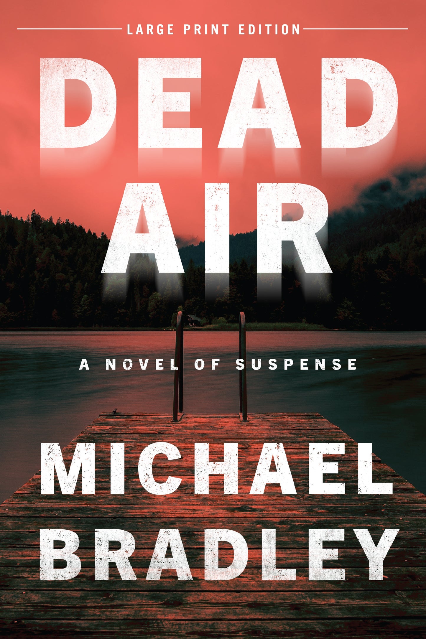 Dead Air (Large Print Edition)